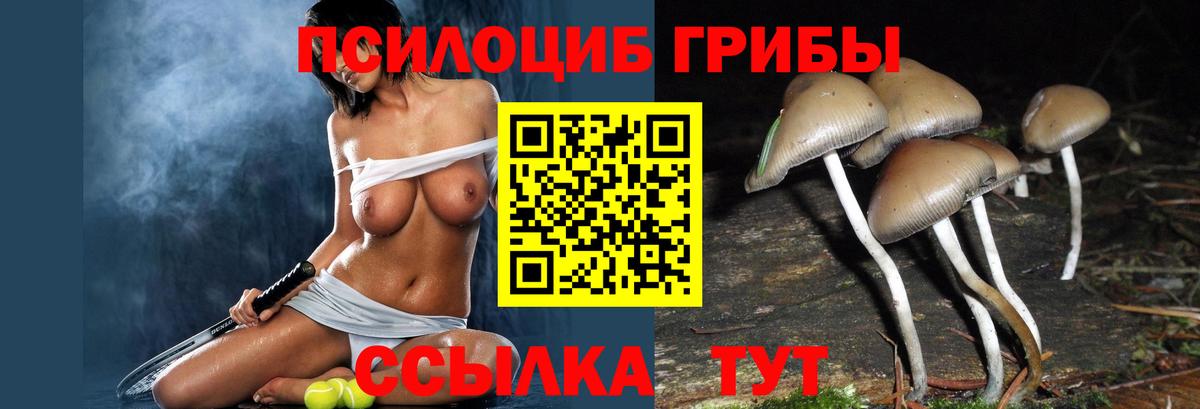 Галлюциногенные грибы Cubensis  Галлюциногенные грибы Psilocybine cubensis  Вход с VPN  Элиста 